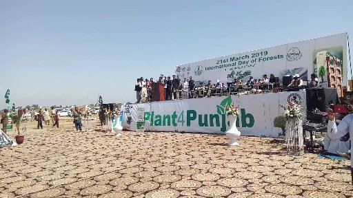 Green Future